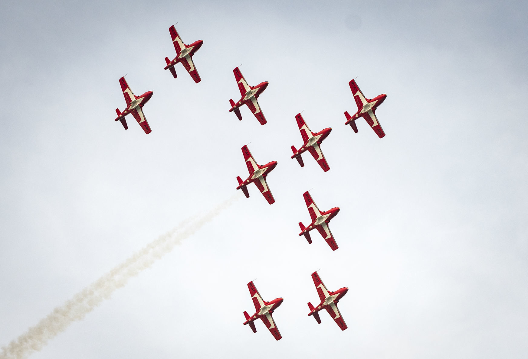 Snowbirds